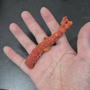 May include: A piece of raw, cylindrical red coral with a porous, textured surface. The coral has a branching, organic shape with small, irregular protrusions along its length, displaying a deep, natural reddish-orange hue throughout its structure.