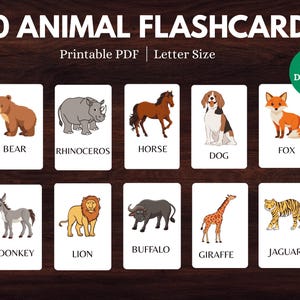 40 Animal Flashcards, Printable Animal Flashcards, Preschool Flashcards, Toddler Flashcards, Educational Cards