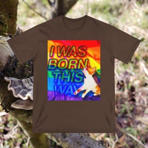Pride Cat T-Shirt, LGBTQ+ Apparel, Funny Cat Tee, Gift for Cat Lovers, Colorful Rainbow Shirt, Conversation Starter