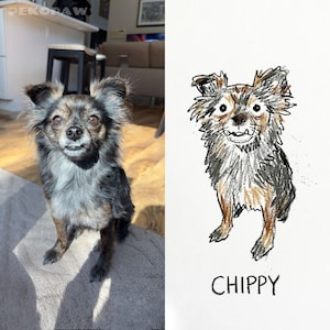 Puede incluir: Un perro peque&ntilde;o de pelo largo, con una mezcla de pelaje negro, gris y marr&oacute;n, de pie sobre una superficie gris. Junto a &eacute;l, un dibujo del perro con el nombre "CHIPPY" debajo.