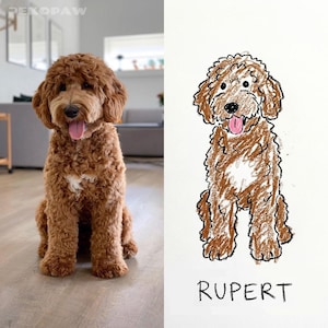 Puede incluir: Imagen lado a lado de un perro Goldendoodle marr&oacute;n y esponjoso y un dibujo a l&aacute;piz del mismo perro. El perro est&aacute; sentado con la lengua fuera. El dibujo est&aacute; etiquetado como "RUPERT".