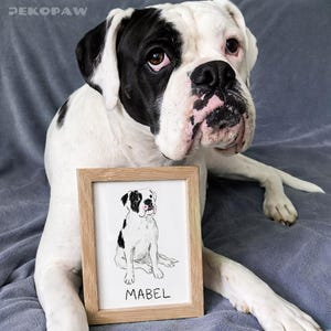 Puede incluir: Un perro Boxer blanco y negro posa con un boceto enmarcado de s&iacute; mismo. El boceto est&aacute; en un marco de madera y tiene el nombre "MABEL" escrito debajo. El perro tiene una mancha negra sobre un ojo y en sus orejas.