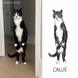 Puede incluir: Un gato blanco y negro de pie, con las patas y el pecho blancos, junto a un boceto en blanco y negro de un gato en la misma pose. El boceto tiene el nombre "Callie" escrito debajo.