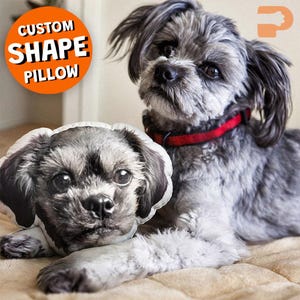 May include: A gray and white dog is lying on a beige surface next to a custom-shaped pillow with the dog's image. The pillow has a white border. The dog wears a red collar. An orange circle with the words "CUSTOM SHAPE PILLOW" is in the upper left.