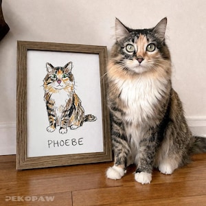 Puede incluir: Un dibujo enmarcado de un gato llamado Phoebe, junto a un gato real con colores similares. El dibujo est&aacute; en un marco de madera marr&oacute;n. El gato del dibujo y el gato real tienen pelaje marr&oacute;n, negro y blanco.