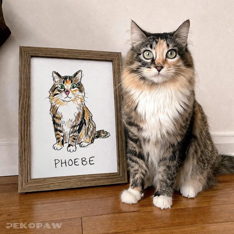 Puede incluir: Un dibujo enmarcado de un gato llamado Phoebe, junto a un gato real con colores similares. El dibujo est&aacute; en un marco de madera marr&oacute;n. El gato del dibujo y el gato real tienen pelaje marr&oacute;n, negro y blanco.