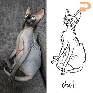 May include: A side-by-side image featuring a Sphynx cat and a cartoon drawing of a similar cat. The cat is gray with green eyes, sitting on a gray couch. The cartoon is a black and white line drawing with the word "GIDGIT" below.