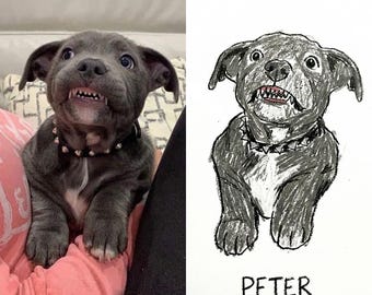 Retrato de mascota personalizado Retrato de mascota fea Ilustración de mascota personalizada Retrato de perro estilo garabato Retrato de mascota retro Ilustración de mascota fea