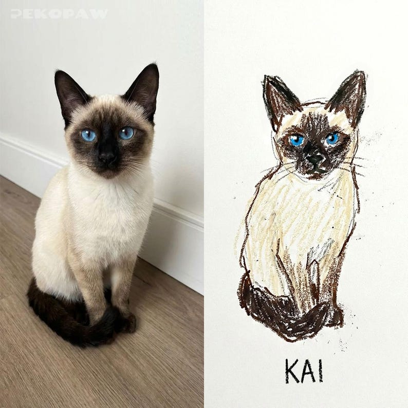 Puede incluir: Un gato siam&eacute;s con brillantes ojos azules est&aacute; junto a un dibujo a l&aacute;piz de un gato similar. El gato tiene un cuerpo color crema, puntas marrones oscuras y ojos azul brillante. El dibujo est&aacute; etiquetado como "KAI".