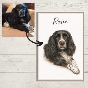 May include: A framed portrait of a black and white dog, with the name "Rosie" written above the dog's head in cursive. The dog is lying down, with its front paws crossed. The image is next to a photo of the dog.