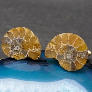 Einzigartiges Design Natürliche Ammonit Fossil Manschettenknopf Silber Manschettenknopf Geschenk für Bräutigam Geschenk für Vater
