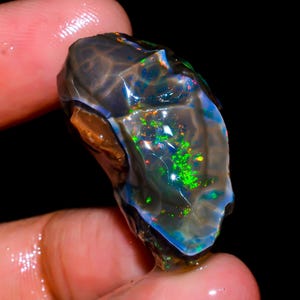 Puede incluir: Primer plano de una gema de ópalo en bruto y sin cortar. El ópalo muestra un color base oscuro con vibrantes destellos verdes, azules y naranjas. La piedra se sostiene entre los dedos, mostrando su forma natural e irregular y su juego de colores iridiscente.