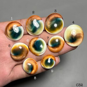 Shiva ögonskal av högsta kvalitet 100 % naturlig Shiva ögonskal cabochon lös ädelsten för att göra smycken C-32