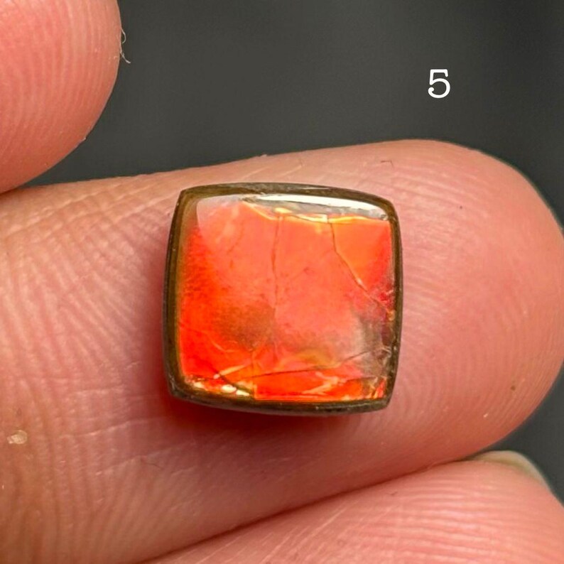 May include: A square-cut gemstone with a vibrant, fiery orange and red interior. The stone has a dark brown border and a slightly rounded shape. The number "5" is visible in the background.