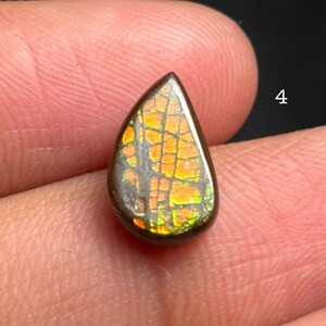 May include: A teardrop-shaped gemstone with a dark brown border and a vibrant, mosaic-like interior of orange, yellow, and green hues. The stone is held between fingers, showcasing its polished surface and intricate patterns.