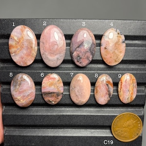 May include: Nine polished, oval gemstones in pink, peach, and brown hues are displayed on a black tray. The gemstones have varied patterns and colours. A gold coin with text is in the lower right corner. The text "C19" is at the bottom.