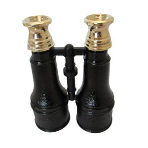May include: Black binoculars with gold accents. The binoculars have a textured finish and a classic design.