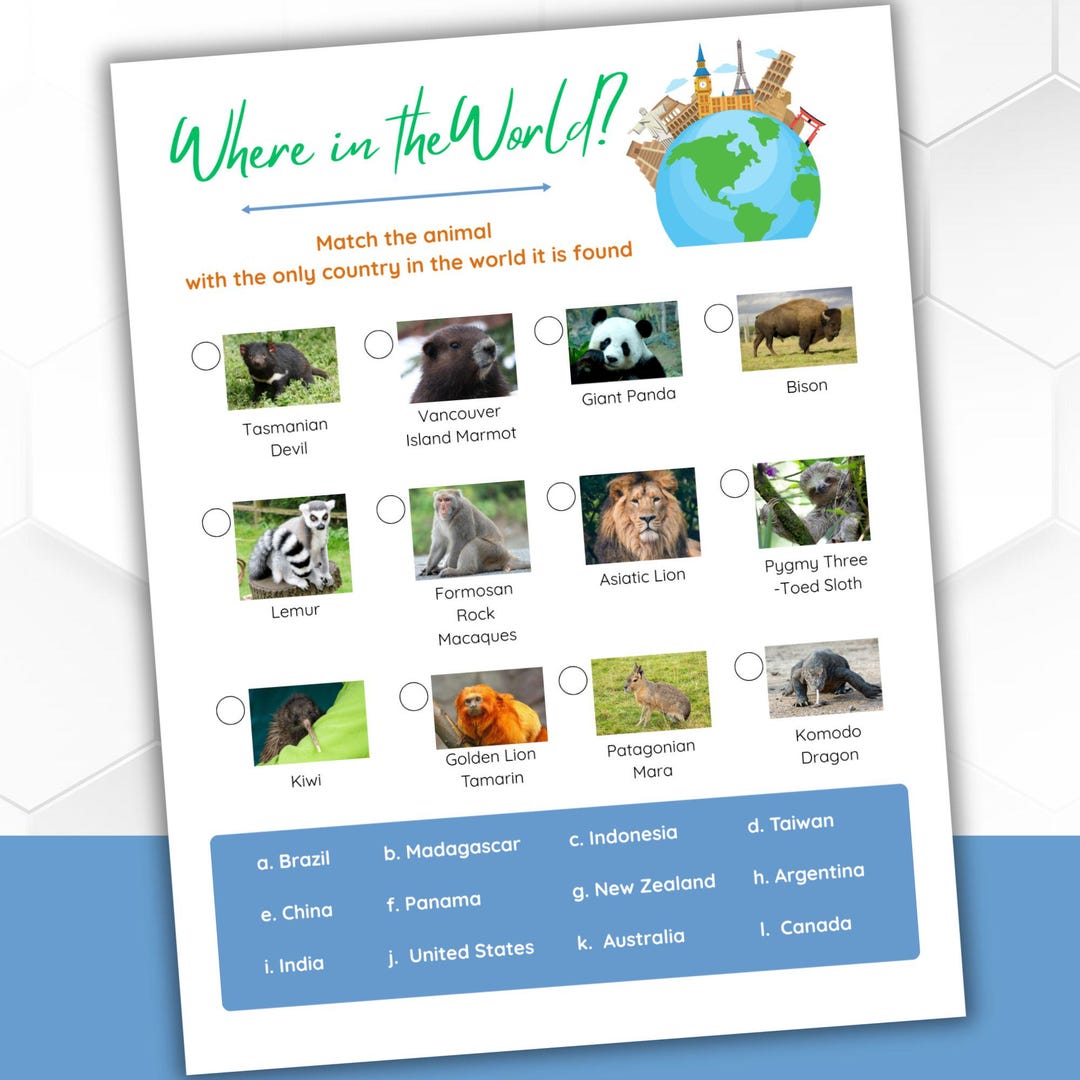 Where in the World? Animals Quiz - Etsy