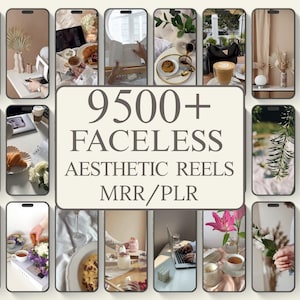 9500+ Faceless Reels Bundle With MRR & PLR