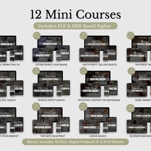 Puede incluir: Una colección de 12 minicursos digitales con títulos como Digital Marketing 101, Branding Basics y Canva Basics. Cada curso incluye maquetas de dispositivos, número de páginas y el texto Includes PLR & MRR Resell Rights.