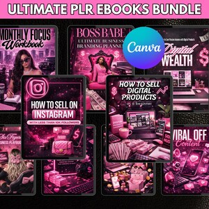 Girl Boss digital bundle with rebrandable PLR eBooks, Canva templates and faceless reels for social media content.