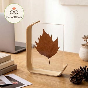 Può includere: Una cornice decorativa in legno con un pannello in acrilico trasparente che contiene una foglia marrone conservata. La cornice ha un design curvo e la foglia è centrata. Il logo BabooBloom è visibile nell'angolo in alto a sinistra.