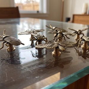 May include: A collection of six brass-toned metal cabinet knobs shaped like various insects, including beetles, flies, and moths. Each knob features a detailed textured body and wings, mounted on a small cylindrical base for attachment.