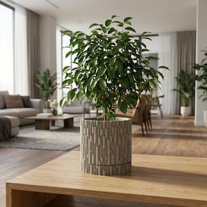 May include: A lush green plant in a textured, light gray cylindrical pot. The pot sits on a wooden table, with a living room in the background. The plant has many green leaves and is a decorative element for the home.