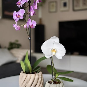 May include: Two potted orchids on a white table. One orchid has light purple flowers, the other has a single white flower. The pots are beige and gray with a textured, rope-like design. Green leaves are visible.