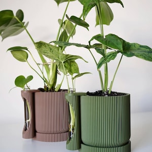 May include: Two decorative planters, one brown and one green, each holding a lush green plant. The planters have a ribbed design and a unique side feature. The plants have large, textured leaves, adding a natural element to the design.