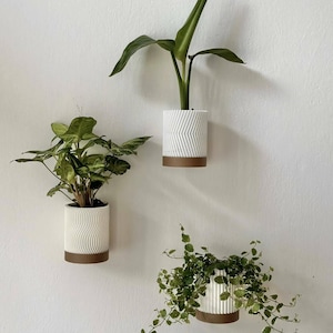 May include: Three white wall-mounted planters with brown bases, each holding a different green plant. The planters have textured designs: a zig-zag, a wave, and vertical lines. The plants vary in size and leaf shape, creating a decorative display.