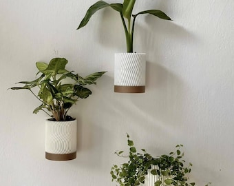 Modern Geometric Wall Planters for Succulents - Single or Set of 3