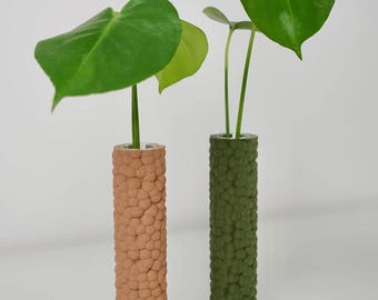 Brisa Bubbly Bud Vase & Propagation Station