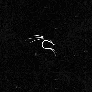 May include: Digital artwork in black and white, showcasing a white dragon logo. The dragon is centrally placed. The background is a topographic map design.