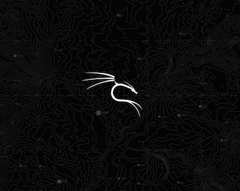 02 Mastering Basic Linol on Kali 90 Seiten