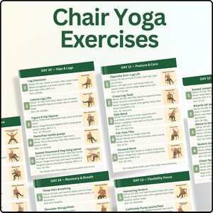 May include: A collection of exercise cards for chair yoga. The cards are green and white, with illustrations of yoga poses. The title "Chair Yoga Exercises" is at the top. The cards are organized by day and focus area.