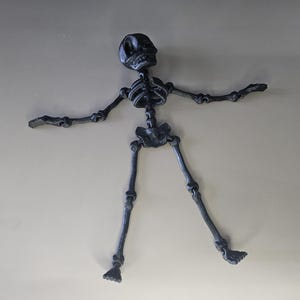 3D Printed Flexi Skeleton
