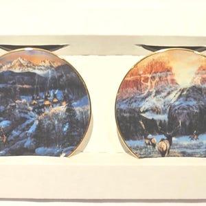 Lot Of 2 Bradford Exchange &quot;Faces Of The Spirits&quot; Fifth And Sixth Issue Mini Plate 1995