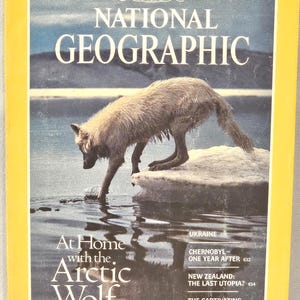 May include: A vintage National Geographic magazine cover from May 1987. The cover features a wolf standing on a rock formation in a body of water. The magazine title is "NATIONAL GEOGRAPHIC" with the text "At Home with the Arctic Wolf".