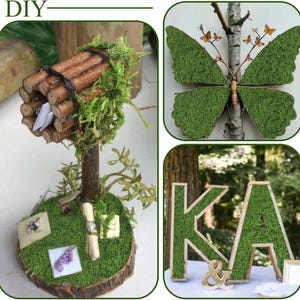 May include: A DIY collection featuring a miniature mailbox made of twigs and moss, a butterfly-shaped wall decoration covered in green moss with small orange butterflies, and large wooden letters K and A filled with green moss.