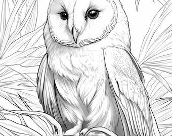 Bird Coloring Book: Nature Illustrations for Kids & Adults