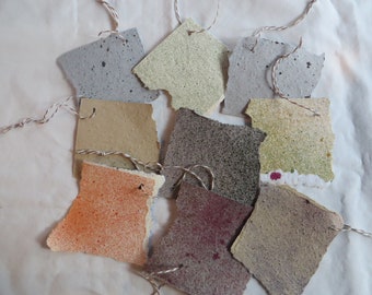 Nine Seed Tags, Seed Paper, Tags, Seeds, Wildflowers