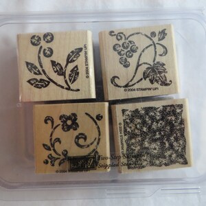 Variedad de sellos de goma, Stampin up, enredaderas, flores, conjunto
