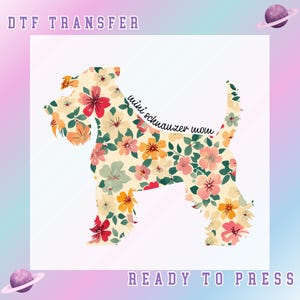 May include: A floral design featuring a silhouette of a Miniature Schnauzer dog. The dog is filled with colorful flowers in shades of red, pink, yellow, and green. The text "mini schnauzer mom" is written on the dog. The words "DTF TRANSFER" and "READY TO PRESS" are also present.