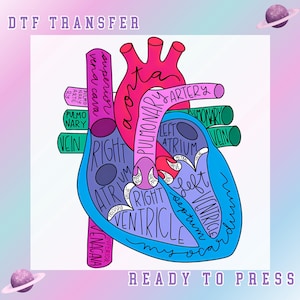 Heart Anatomy DTF Transfer, Cardiac Nursing Gift Ready to Press, Cardiac Nursing Gift, Nursing School, Medical School Student, Cardiologist