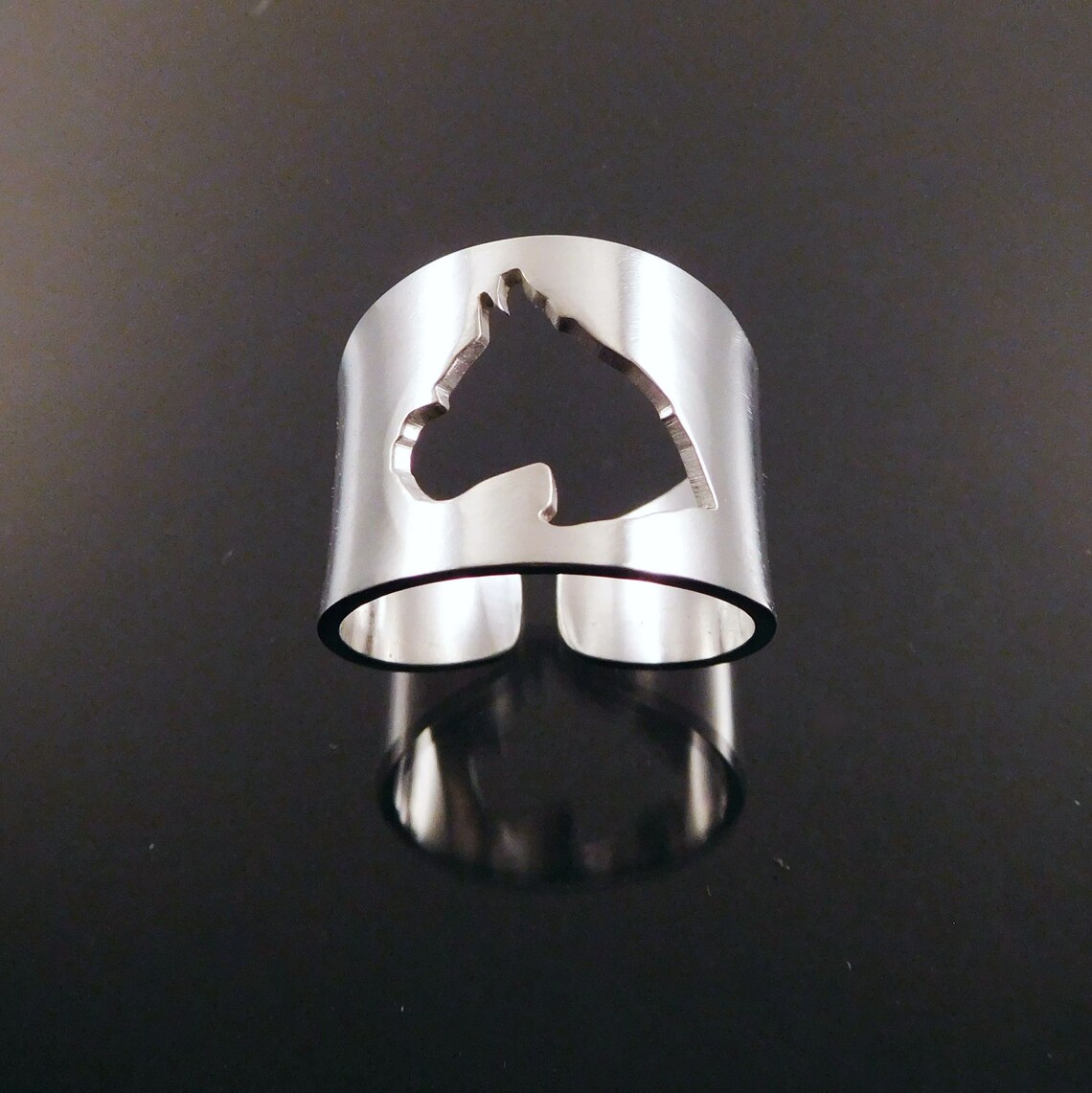 Silver Ring, Boxer Cutout