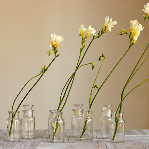 Vintage Glass Apothecary Jars, Set of 5