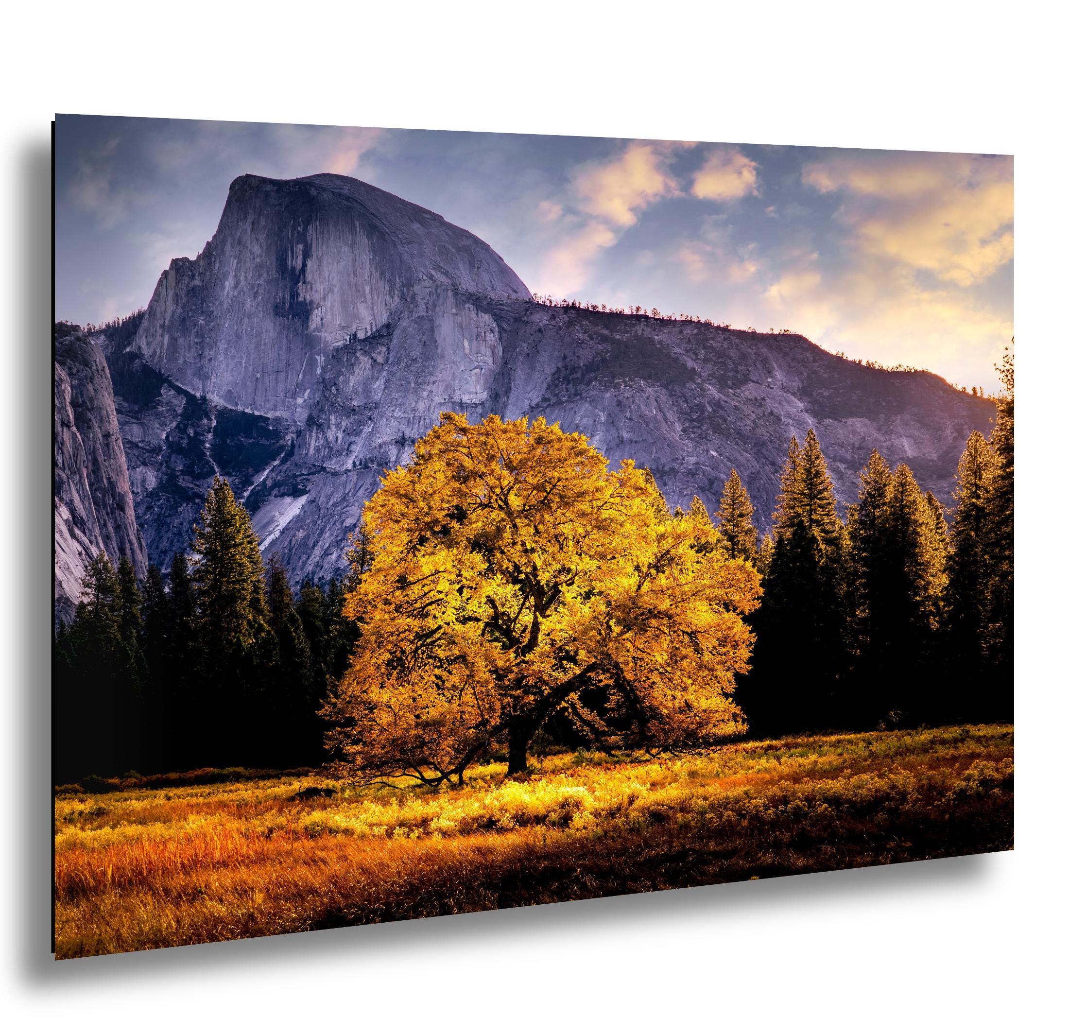 アンセル・アダムス　Ansel Adams　Trees Ansel adams tree print - Etsy 日本