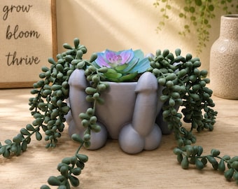 Penis Bowl Planter - Funny Adult Trinket Dish, Succulent Pot, Gag Gift, Drains Through Bottom