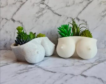The Modern Muse Planter-Elevate your everyday decor